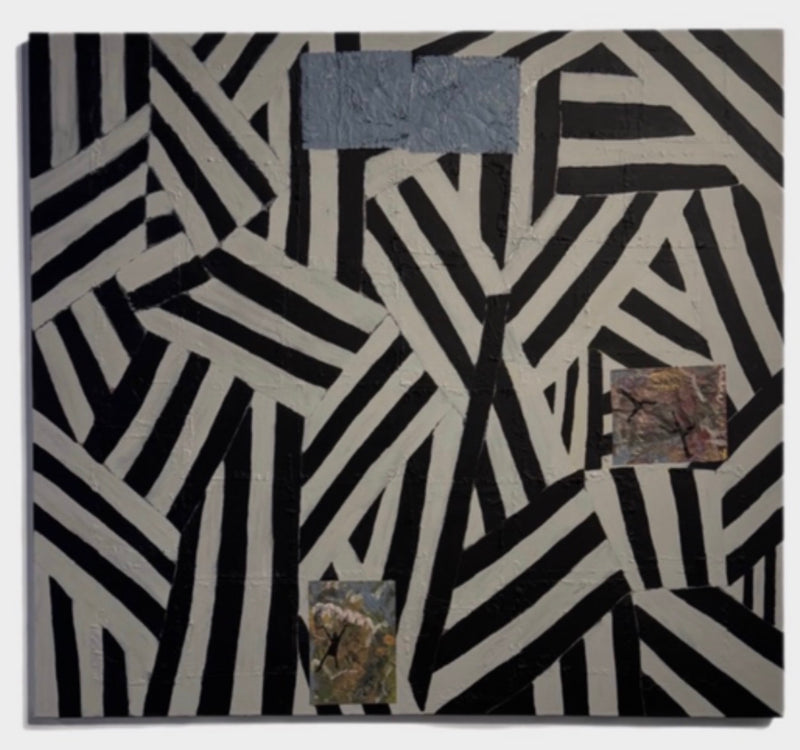 6 Yards from My Friends Across the Street, 2026