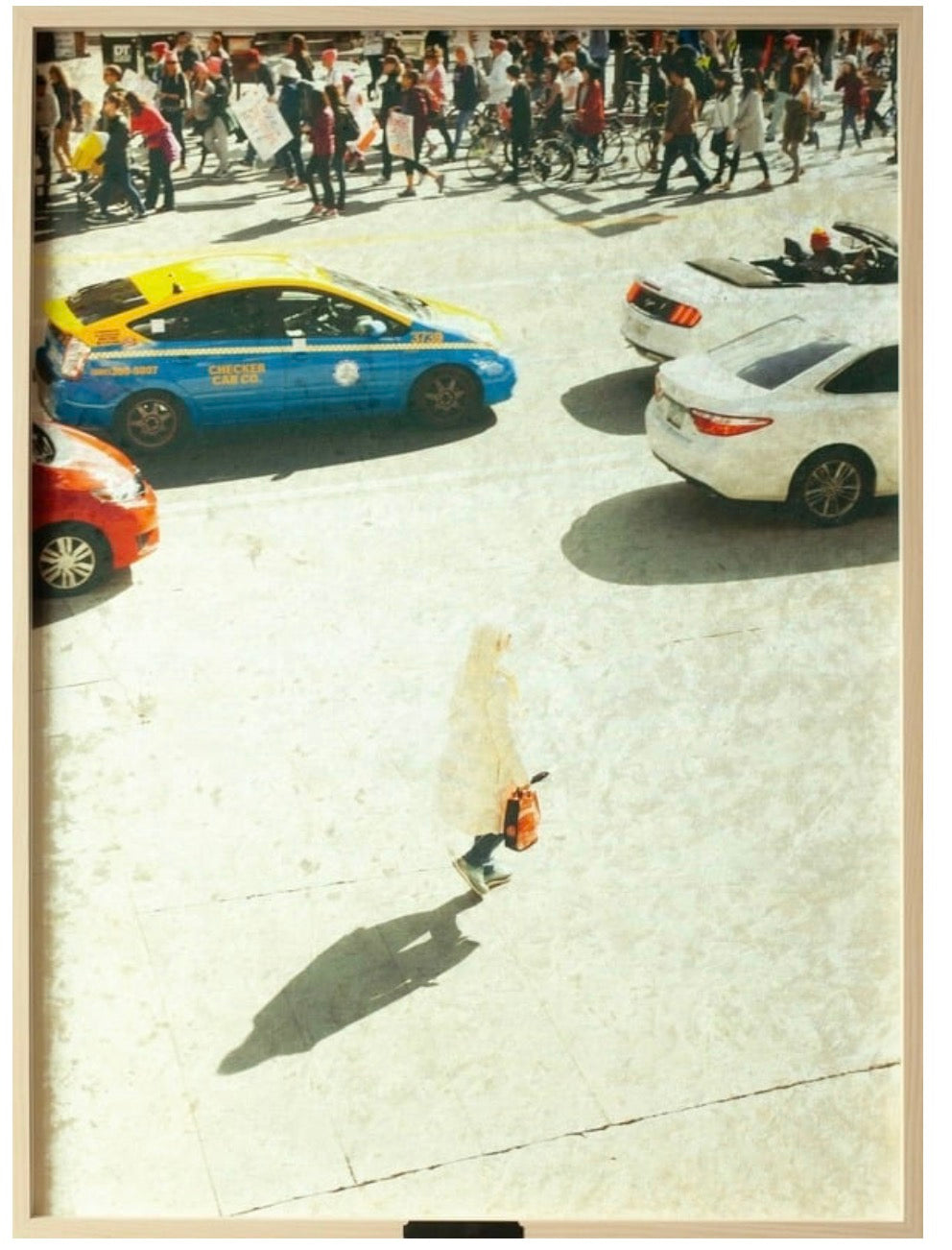 The Contrarian, 2024