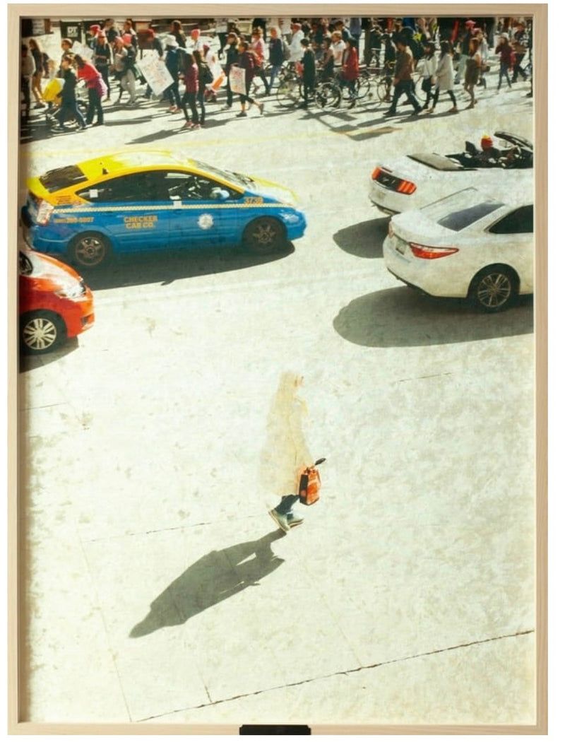 The Contrarian, 2024